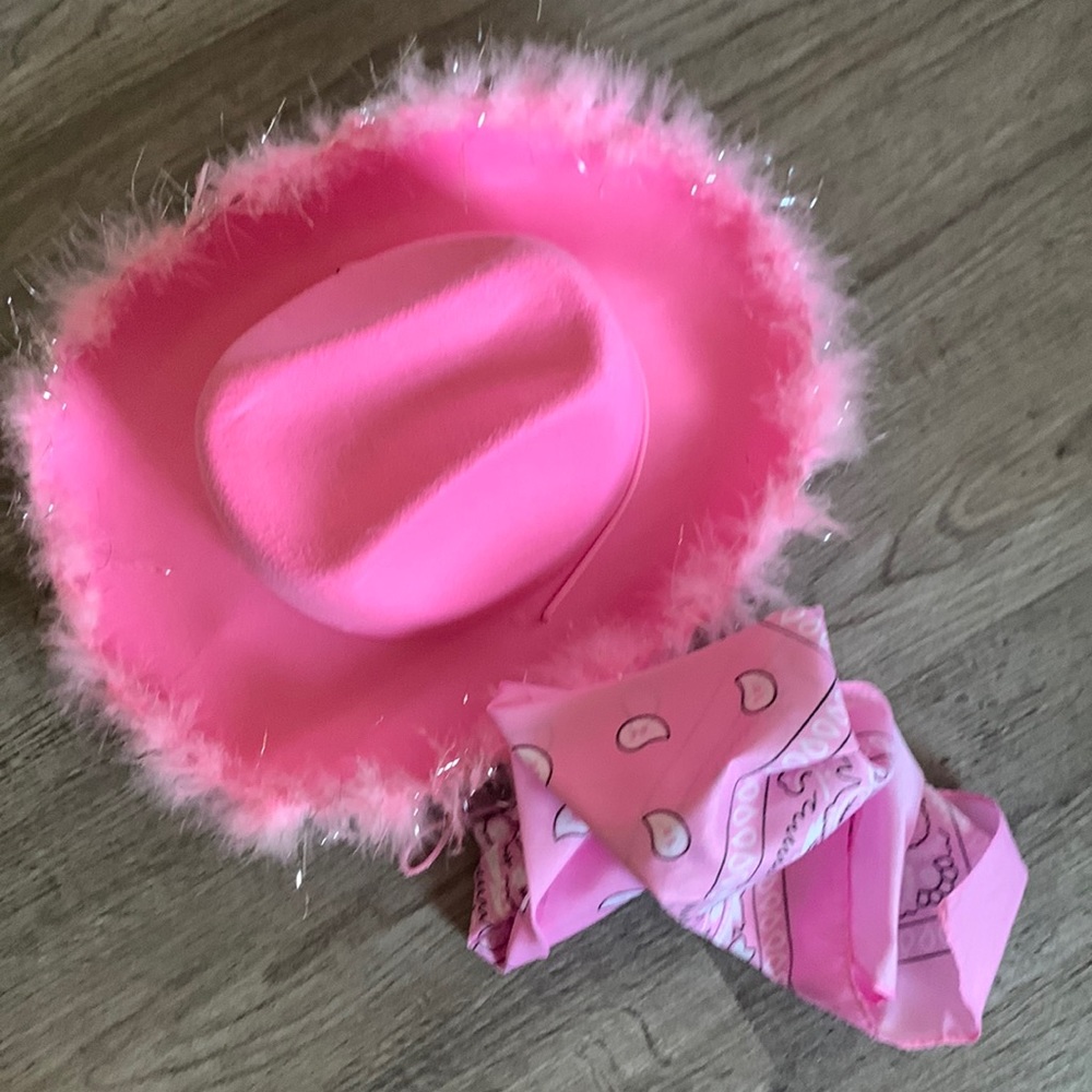 Cowboy hat and bandanna